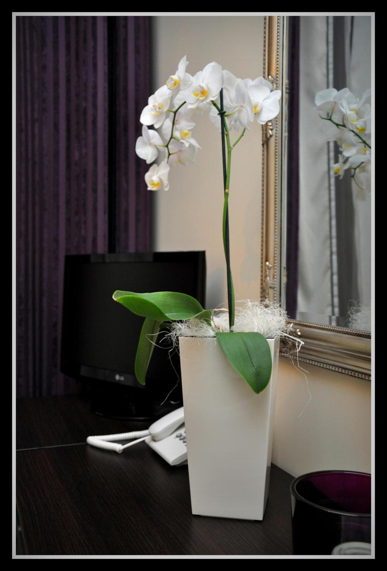 Hotel Willa Adriana ปวอตสก์ ภายนอก รูปภาพ
